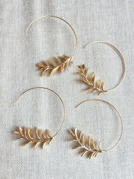 Olive Grove Hoops